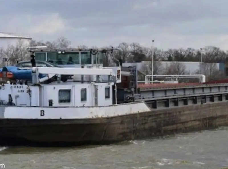 Nava de transport marfă vrac de vânzare