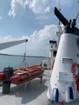 Nava de transport marfă vrac de vânzare
