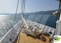 Navă de croazieră de vânzare
