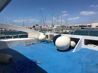 Catamaran de vânzare