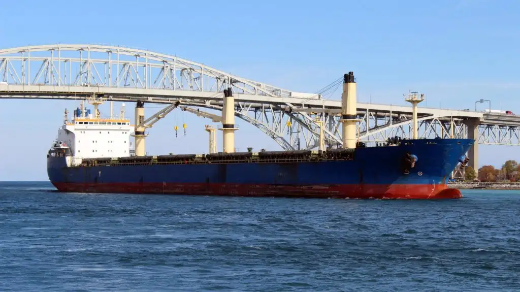 Nava de transport marfă vrac de vânzare
