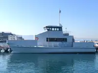 Catamaran de vânzare