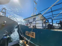 Nava de pescuit tip trauler de vânzare