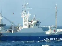 Nava de pescuit tip trauler de vânzare