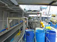 Longliner de vânzare