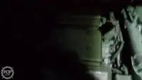 Nava de pescuit tip trauler de vânzare