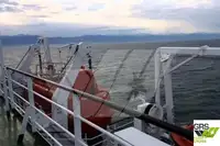 Navă Ro-Ro de vânzare