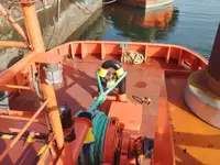 Remorcher de vânzare