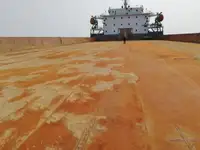 Nava de transport marfă vrac de vânzare