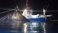 Nava de pescuit tip trauler de vânzare