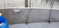 Nava de pescuit tip trauler de vânzare