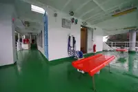 Navă Ro-Ro de vânzare