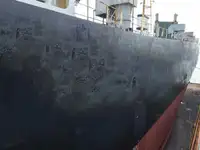 Ro-Ro ship de vânzare