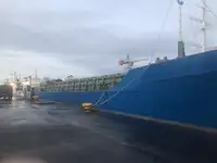 Nava de transport marfă vrac de vânzare