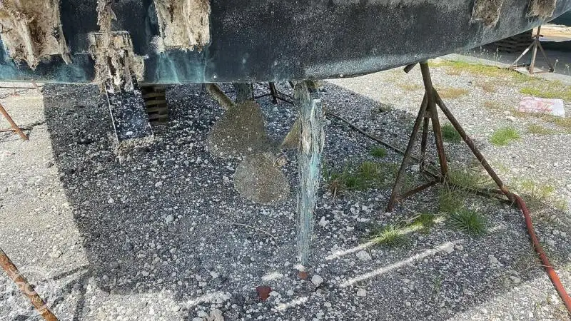Navă de croazieră de vânzare