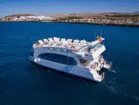 Catamaran de vânzare
