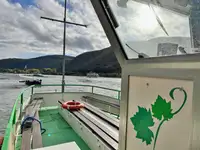 Navă de croazieră de vânzare