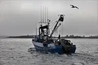 Nava de pescuit cu plase purseine de vânzare