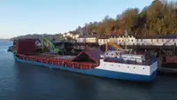 Nava de transport marfă vrac de vânzare