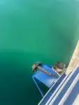 Navă de feribot de vânzare