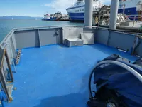 Navă de feribot de vânzare