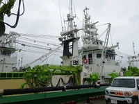 Nava de pescuit cu plase purseine de vânzare