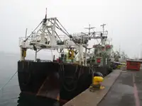 Nava de pescuit tip trauler de vânzare