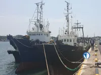Nava de pescuit tip trauler de vânzare