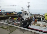 Bărci de lucru de vânzare