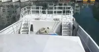 Catamaran de vânzare