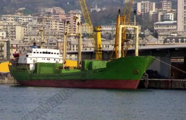 Nava de transport marfă vrac de vânzare