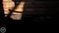 Nava de pescuit tip trauler de vânzare