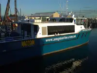 Catamaran de vânzare