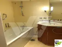 Navă de croazieră de vânzare