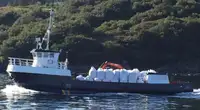 Ambarcațiuni de lucru de vânzare