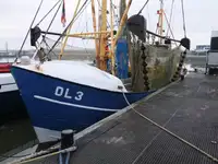 Nava de pescuit tip trauler de vânzare