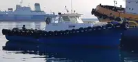 Bărci de lucru de vânzare