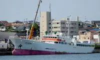 Nava de pescuit tip trauler de vânzare