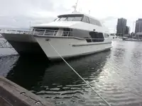 Catamaran de vânzare