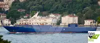 Ro-Ro ship de vânzare