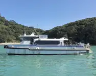 Catamaran de vânzare