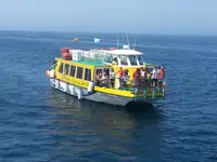 Navă de feribot de vânzare
