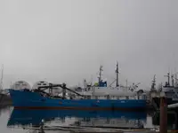 Nava de transport marfă vrac de vânzare