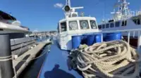 Ambarcațiune de patrulare de vânzare