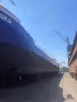 Nava de transport marfă vrac de vânzare