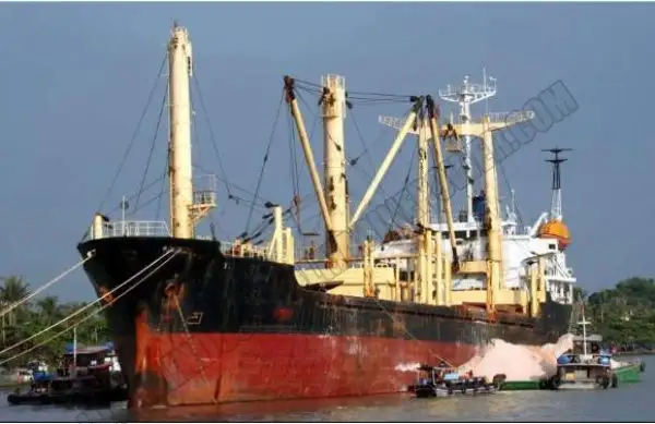 Nava de transport marfă vrac de vânzare