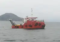 Remorcher de vânzare