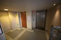 Navă Ro-Ro de vânzare