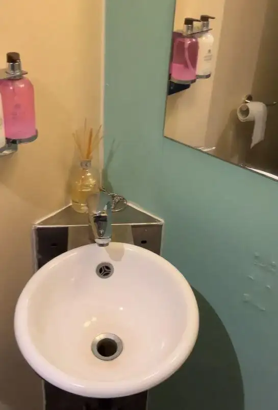Navă de croazieră și feribot de vânzare