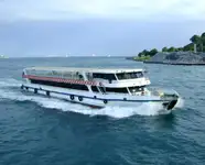 Navă cu feribotul de vânzare